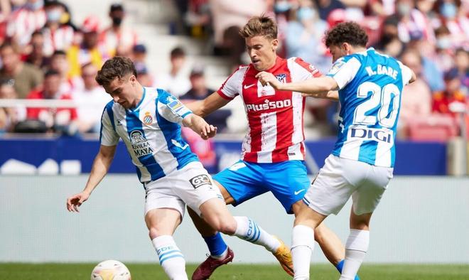 艳表现不仅 艳表现不仅